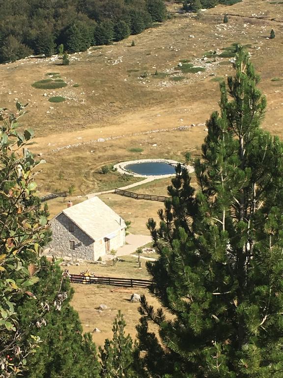 Mountain House Varda Ledenice Εξωτερικό φωτογραφία